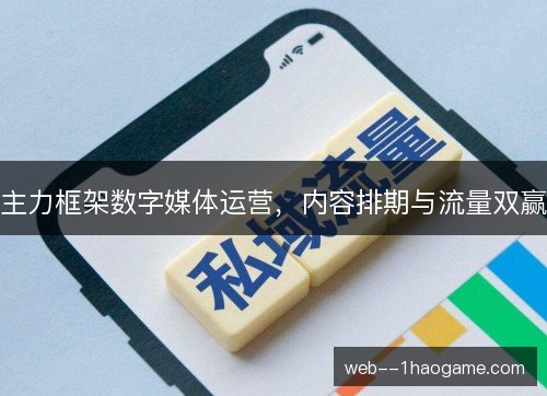 主力框架数字媒体运营，内容排期与流量双赢